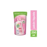 Jabon-Liquido-Doypack-Skin-Care-250-Ml