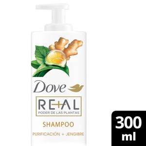 Shampoo Poder De Las Plantas Purificación + Jengibre