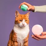 pet-teezer