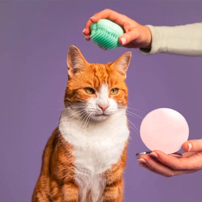 pet-teezer
