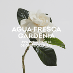 Gardenia---Adolfo-Dominguez