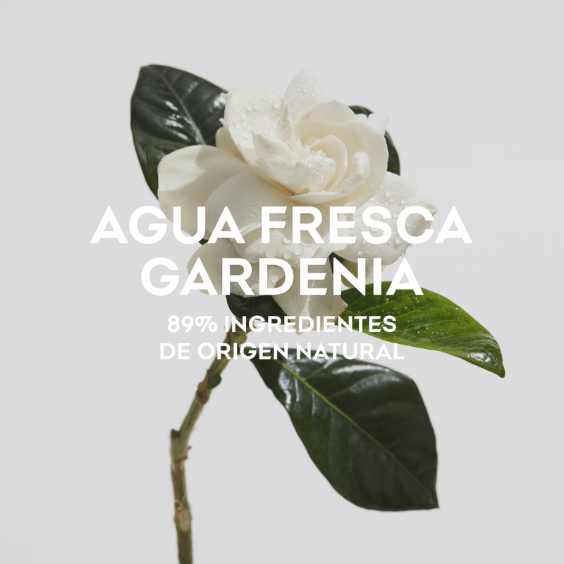 Gardenia---Adolfo-Dominguez