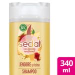 Shampoo-Jengibre---Ricino