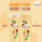 Shampoo-Jengibre---Ricino