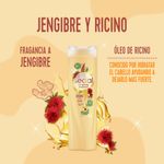 Shampoo-Jengibre---Ricino
