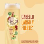 Shampoo-Jengibre---Ricino
