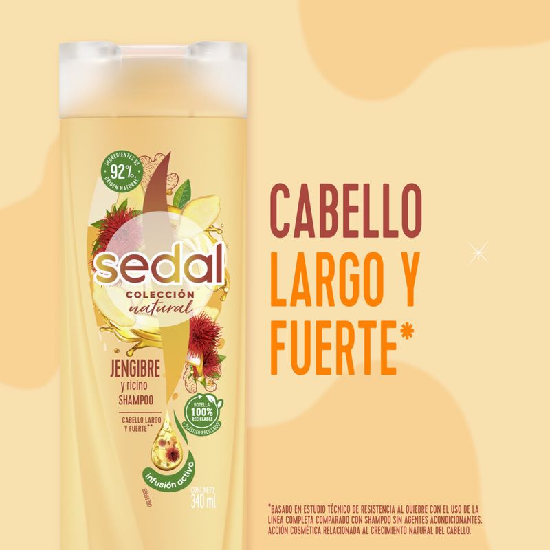 Shampoo-Jengibre---Ricino