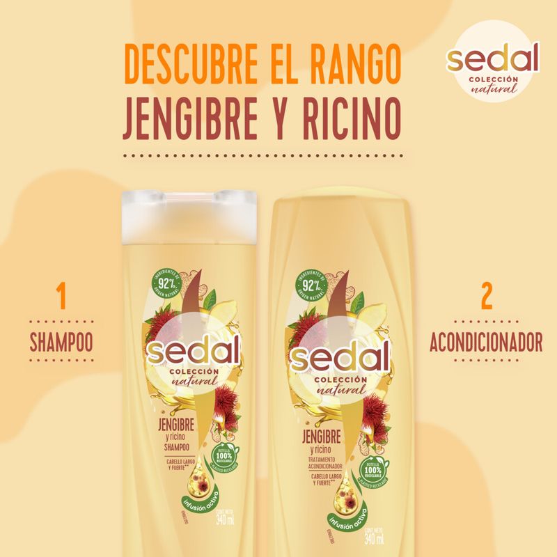 Acondicionador-Jengibre---Ricino