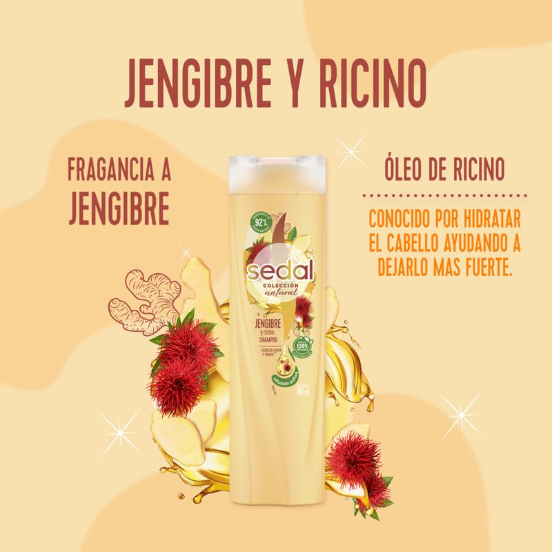 Acondicionador-Jengibre---Ricino