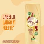 Acondicionador-Jengibre---Ricino