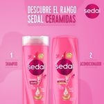 Shampoo-Ceramidas