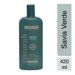 salvia-verde