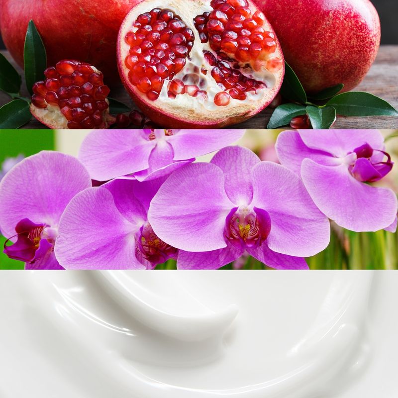 Calvin Klein Euphoria Woman Perfumer as Pigmento