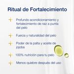 Acondicionador-Ritual-De-Fortalecimiento-Palta-