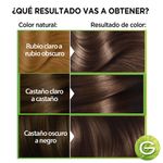 50-Castaña