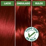 6646-Cobrizo-Rubi