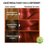 6646-Cobrizo-Rubi