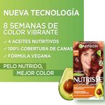 6646-Cobrizo-Rubi
