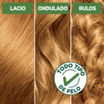 734-Jalea-Real