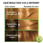 734-Jalea-Real