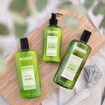 Tratamiento-Capilar-Con-Aloe-Vera-Puro