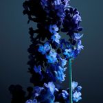 Phantom-Parfum-Refillable-