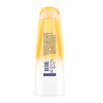 Shampoo-Brillo-