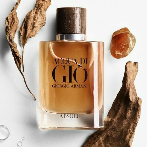 Armani acqua di on sale gio homme absolu