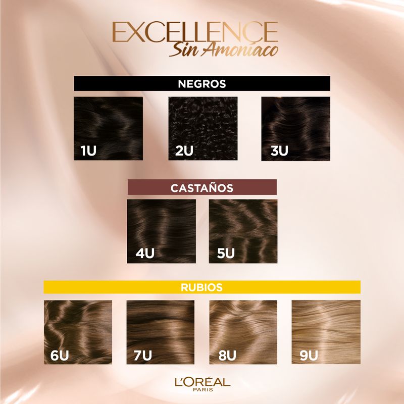 4U-Castaño-Universal