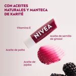 Protector-Labial-Humectante-Blackberry-Shine-