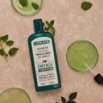 Shampoo-Tratante-Para-Caida-Del-Cabello-Ortiga-Concentrado