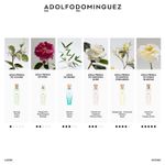 Agua-De-Bambu-EDT