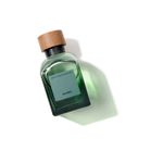 Bambu-EDT