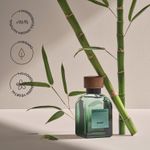 Bambu-EDT