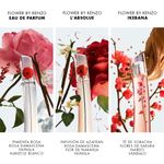 Flower-Ikebana-EDP