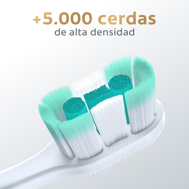 7509546693712_05.jpg