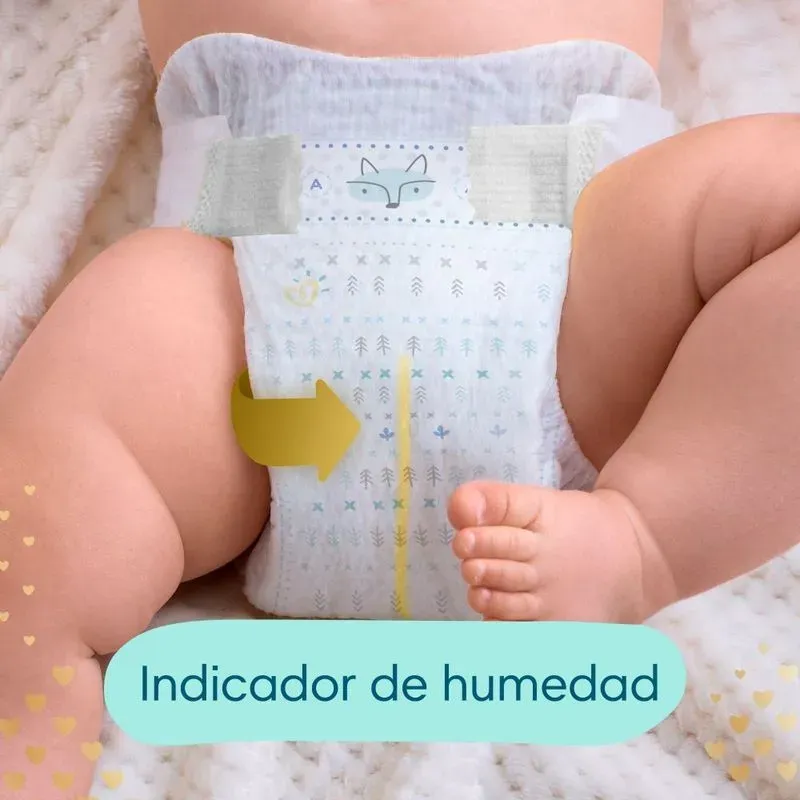 308747-800-auto.webp