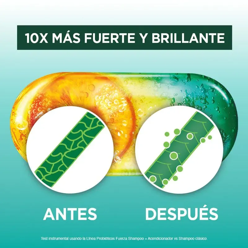 195521-800-auto.webp