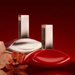 My-Euphoria-EDP