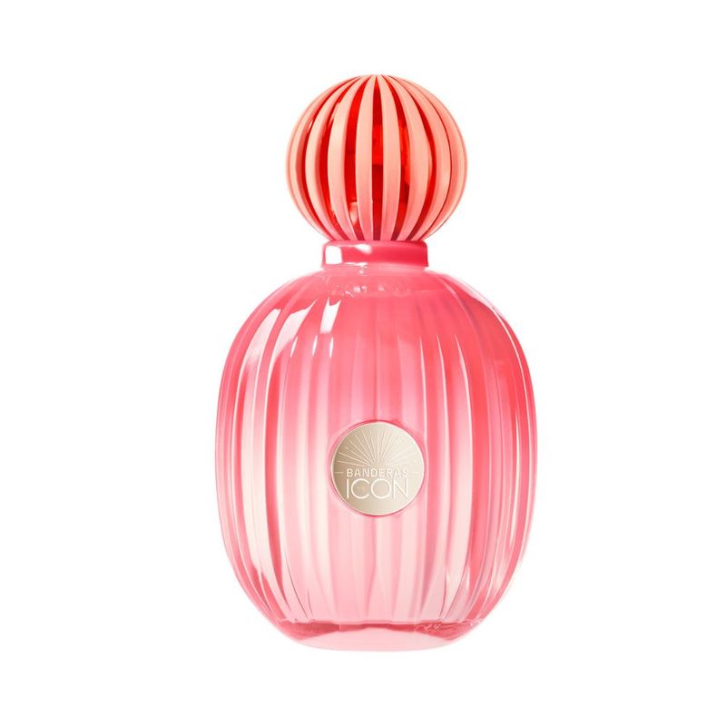 The-Icon-Splendid-EDP