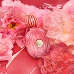 The-Icon-Splendid-EDP
