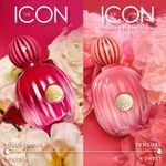 The-Icon-Splendid-EDP