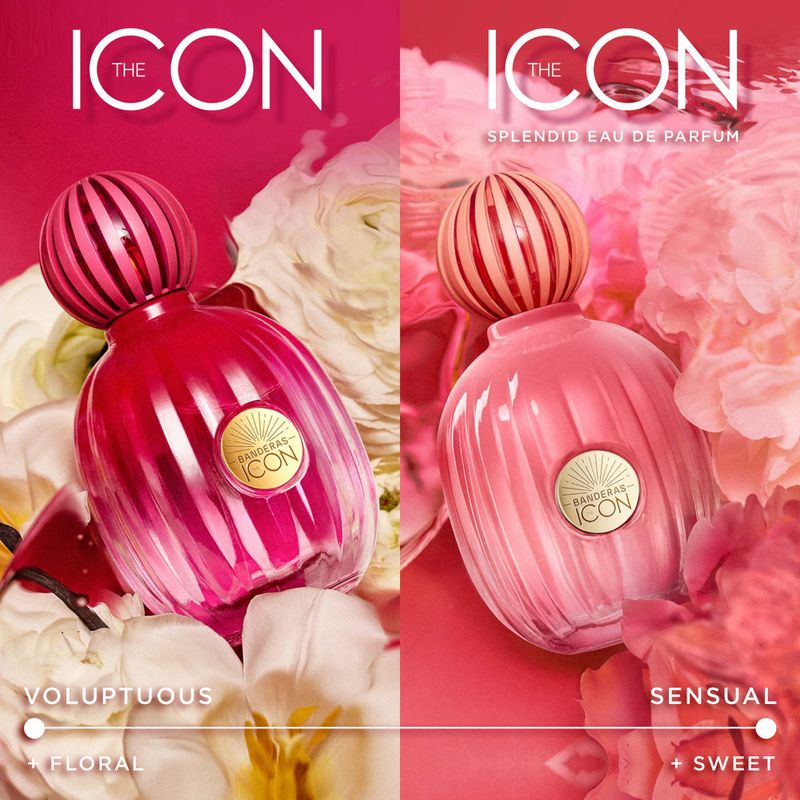 The-Icon-Splendid-EDP