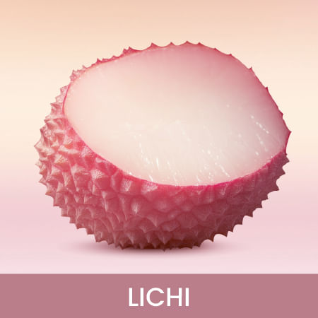 PDP ZARCI P ROSES-02